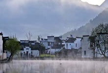 广州茶叶批发市场价格行情对比